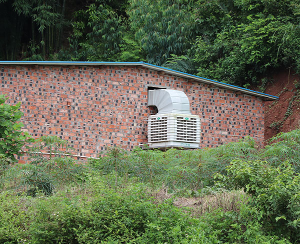豬場水簾風機降溫廠家