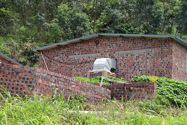 ZLG理工畜牧業(yè)工業(yè)冷風機